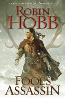 Fools Assassin Fools Assassin